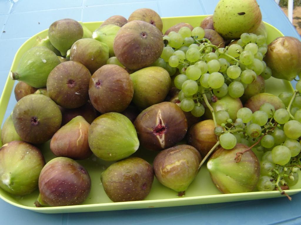 Maison Artigouha Loubieng Ngoại thất bức ảnh